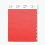 Главный цвет 2026 года по версии Pantone