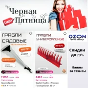 Черная пятница Черная пятница