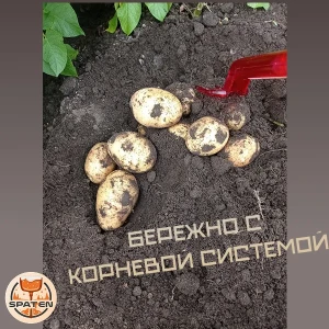 Рыхлитель бережный подкоп корней